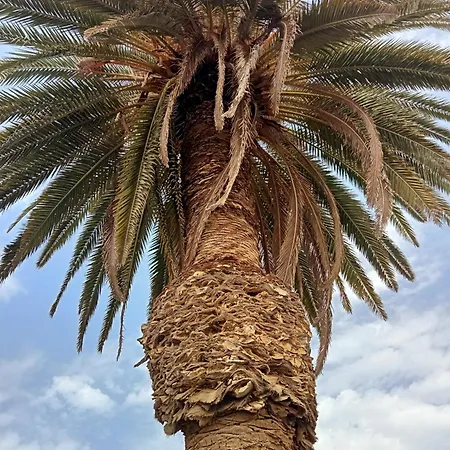 דירה Village Naturiste Cap D'agde, 208 De Luxe Les Jardins D'eden 
